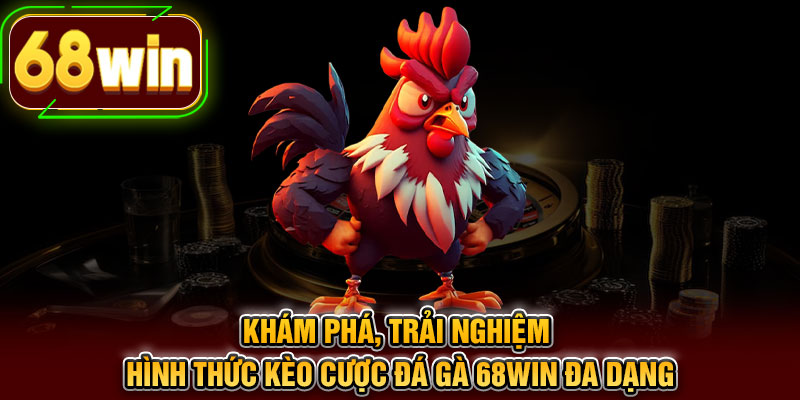 Khám phá, trải nghiệm hình thức kèo cược đá gà 68WIN đa dạng