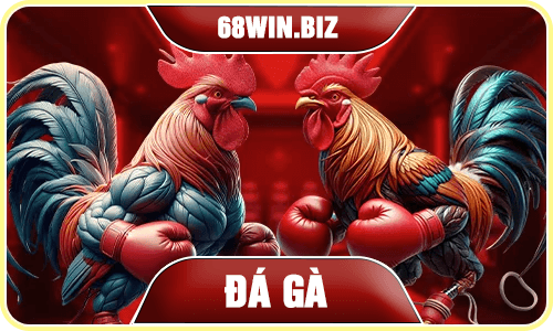 Đá gà 68win