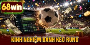 Kinh Nghiệm Đánh Kèo Rung